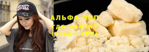 ПСИЛОЦИБИНОВЫЕ ГРИБЫ Гусиноозёрск