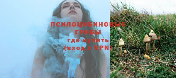 ПСИЛОЦИБИНОВЫЕ ГРИБЫ Гусиноозёрск