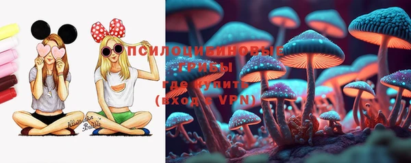 марки nbome Гусь-Хрустальный